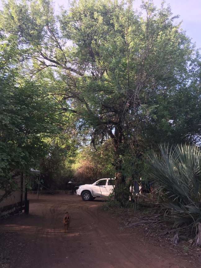 4D2C32D8-001C-430C-BC99-A190BE3269C0