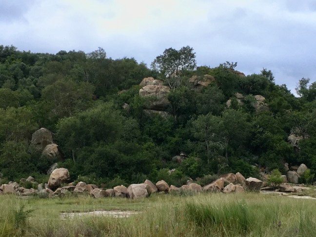 9BDD98B4-EB06-416F-8A06-B596785D194D